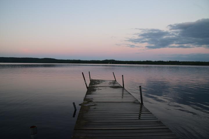 steg
