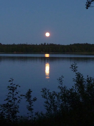 mond