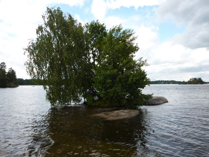 insel
