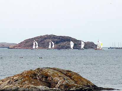 Regatta